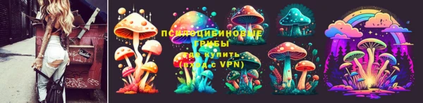 крисы Арсеньев