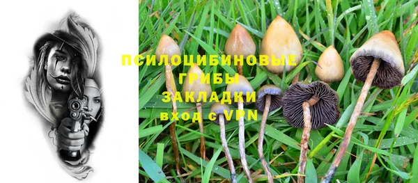 крисы Арсеньев