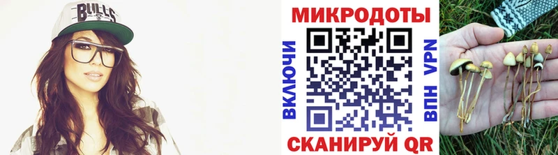 Галлюциногенные грибы ЛСД  даркнет сайт  гидра ссылки  Луга 